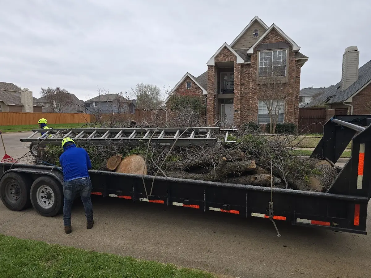 Expert Lot Clearing with proper safety equipment in Greenwich
